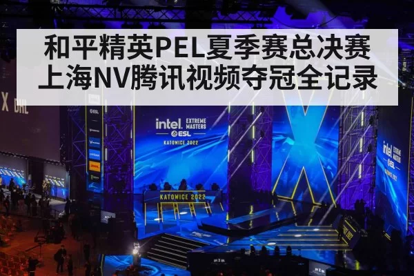 和平精英PEL夏季赛总决赛上海NV腾讯视频夺冠全记录